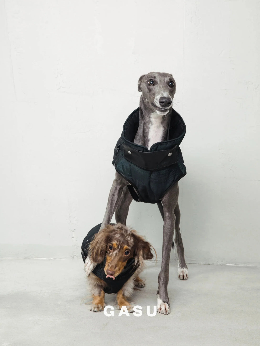 Antistatic Thermal Quilted Dog Vest - 2&4 PETS