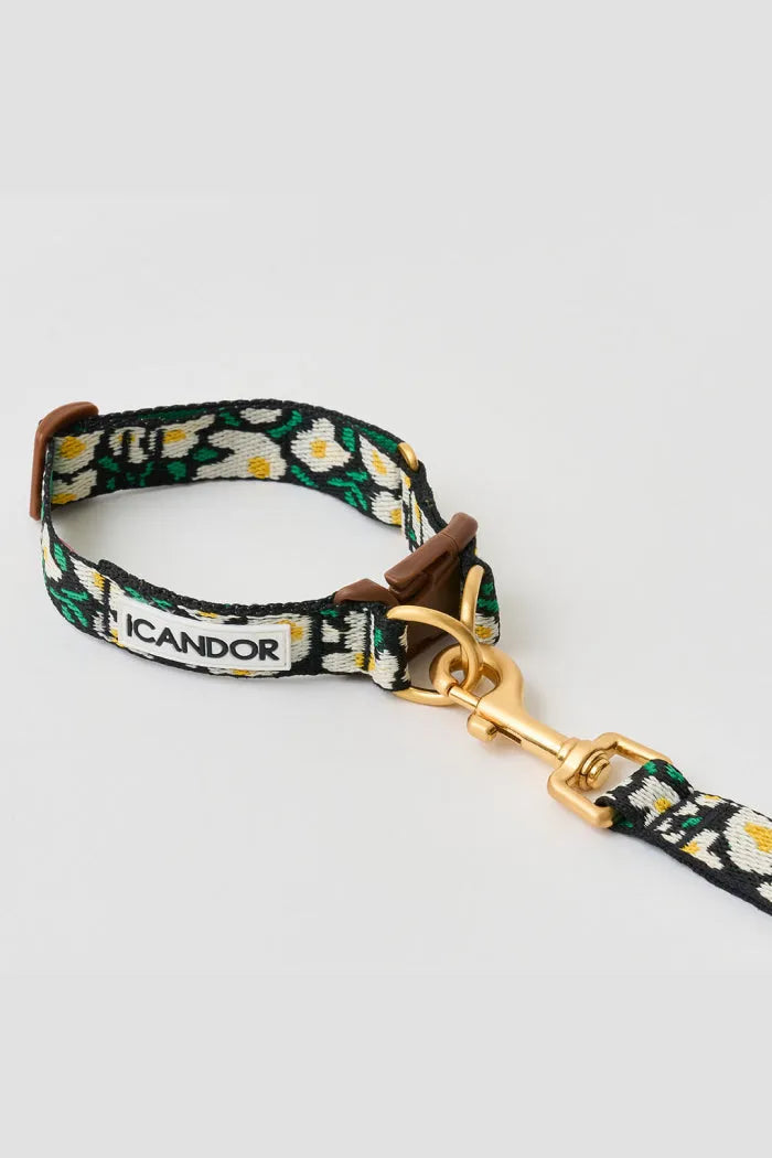 Gentle Dog Collar - Big Fish