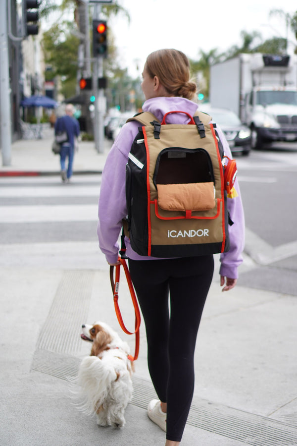 JIGE Bag | Pet Travel Backpack