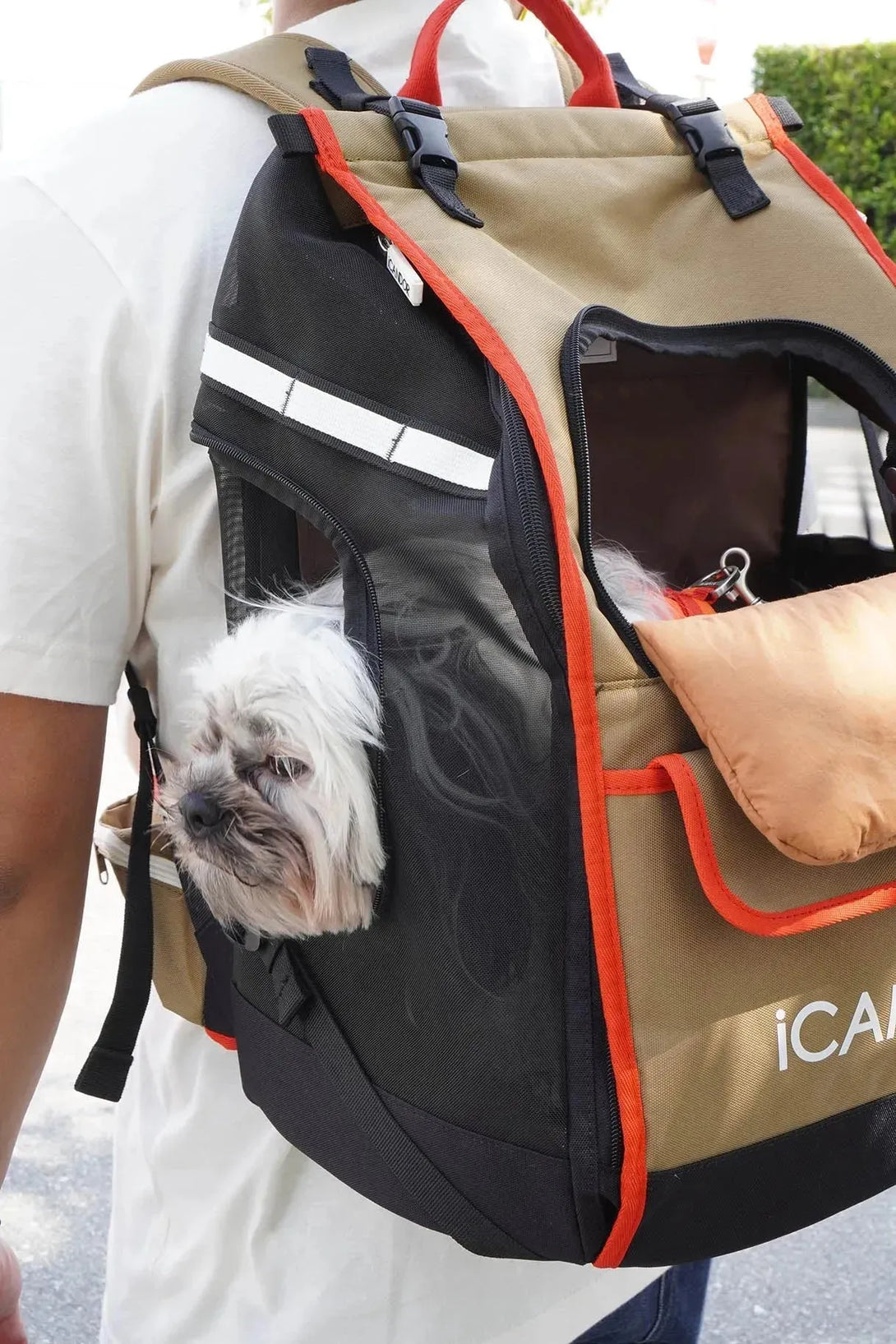 JIGE | Dog Travel Backpack Carrier