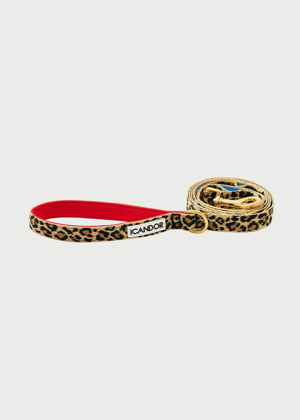Gentle 2-Handle Dog Leash - Leopard