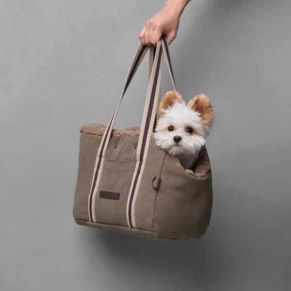 CLOUD7 – 2&4 PETS