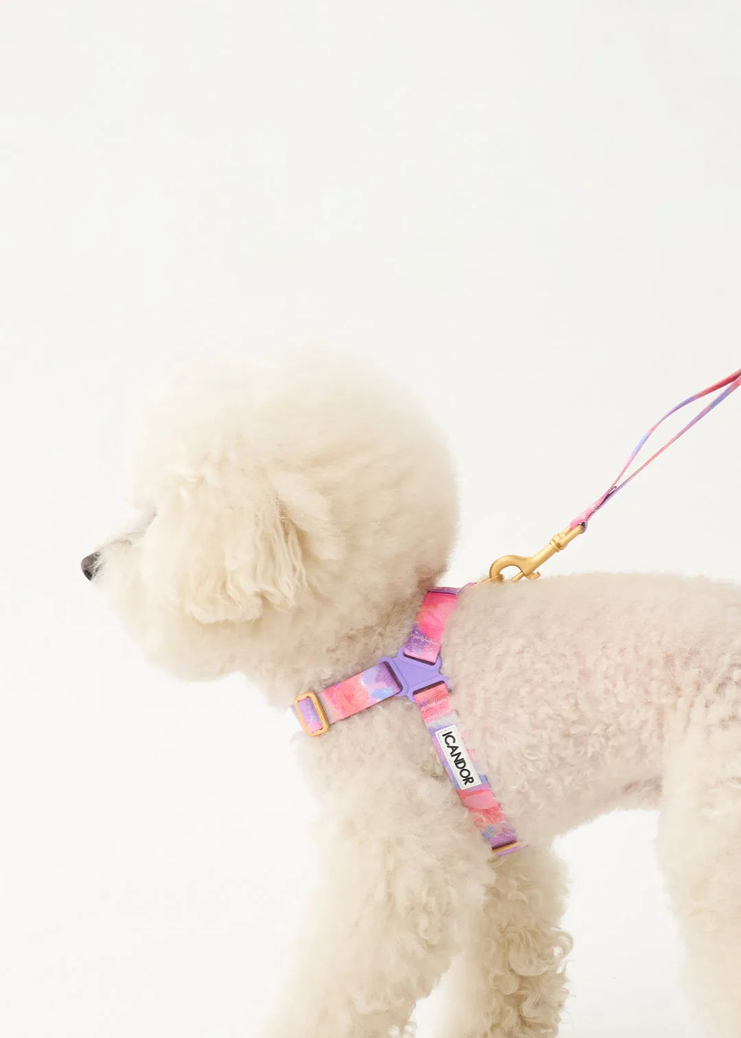 No-Pull Dog Harness - Milky Way - 2&4 PETS