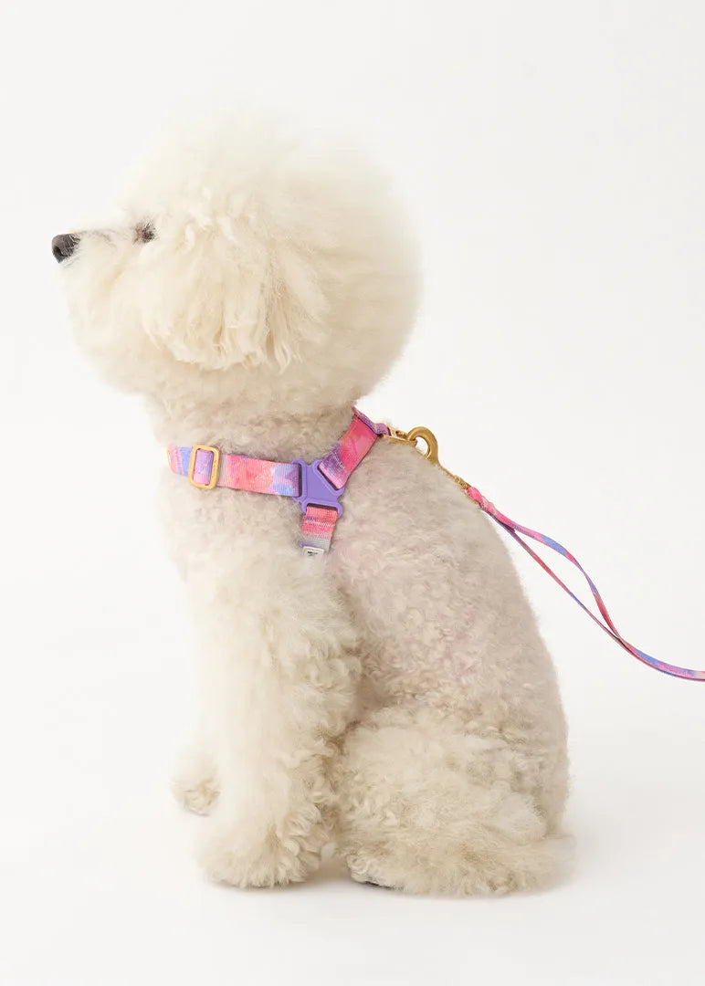 No-Pull Dog Harness - Milky Way - 2&4 PETS