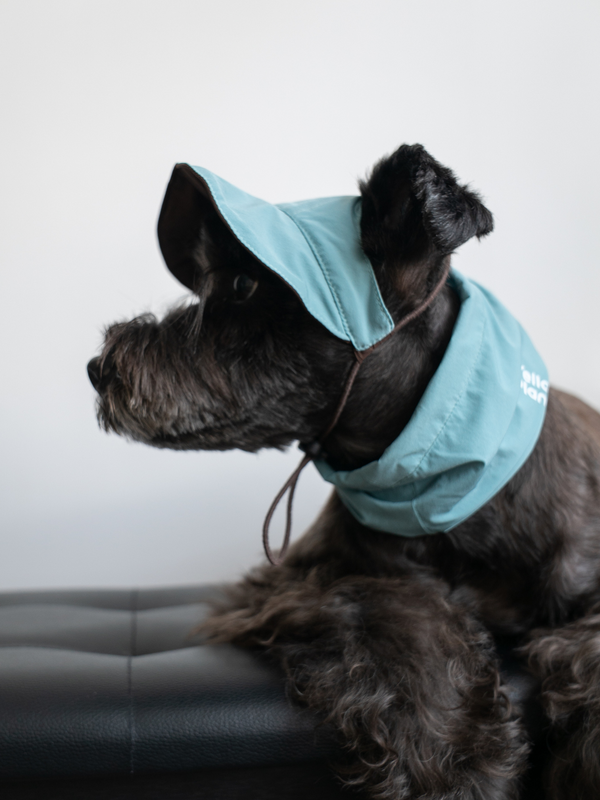 Oasis | Reversible Lightweight Pet Cap