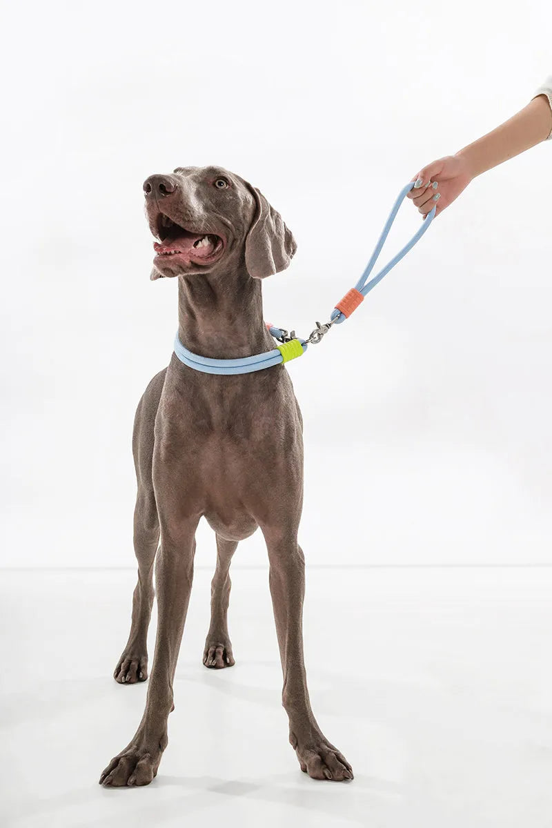 Marshmallow Short Dog Leash