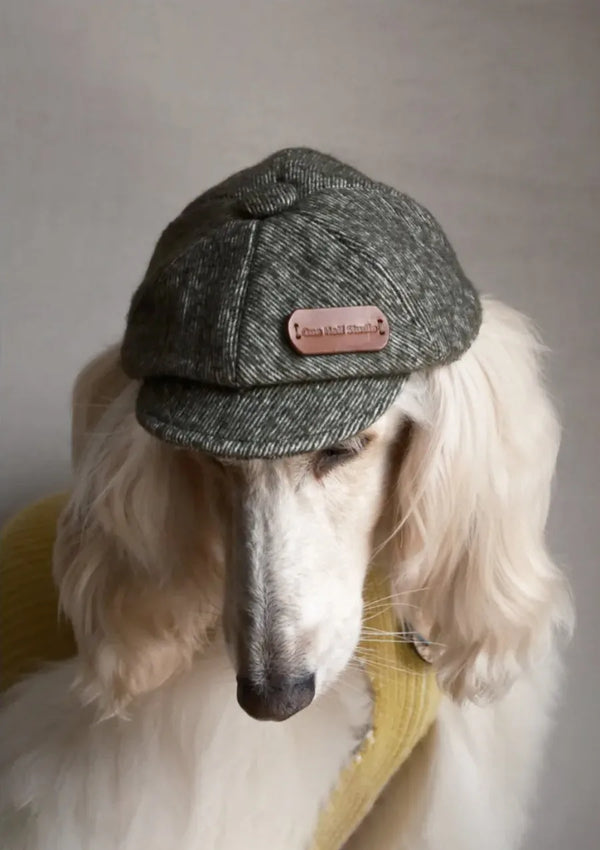 Merino Wool Dog Bakerboy Cap