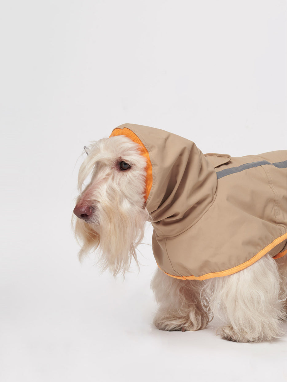 Full Coverage Reflective Dog Raincoat