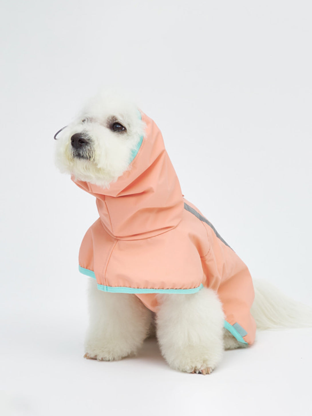 Full Coverage Reflective Dog Raincoat