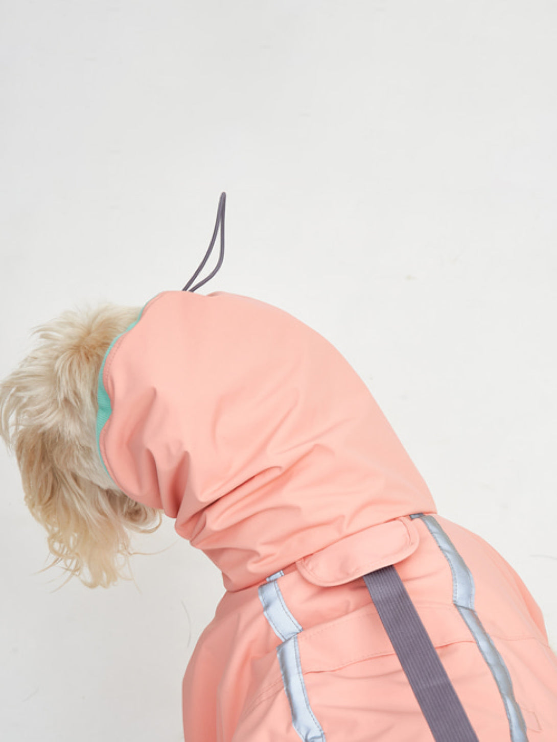 Full Coverage Reflective Dog Raincoat