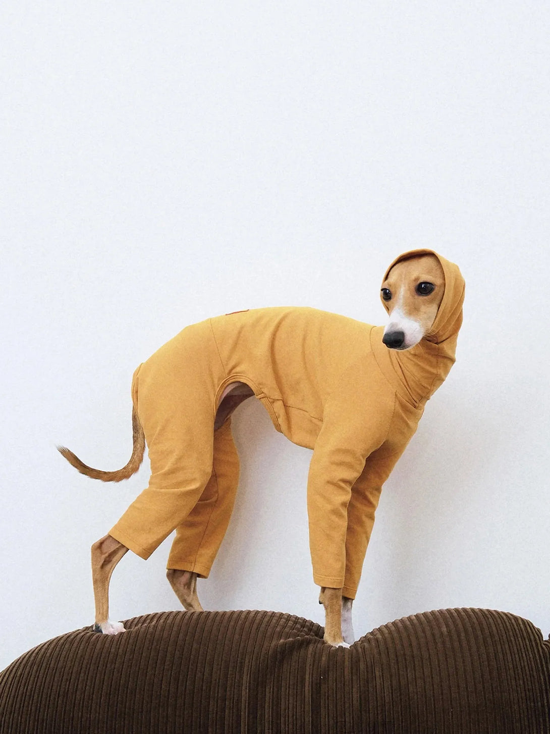 4-Leg Fit Cotton Dog Jumpsuit