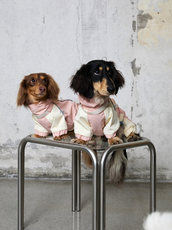 Adjustable 4-Leg Fleece-lined Warm Dog Jumpsuit | Limited Edition