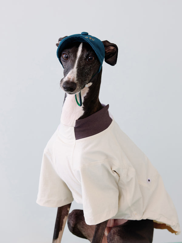 UPF50+ Featherlight Water-Repellent Dog Pullover | Rice Mist