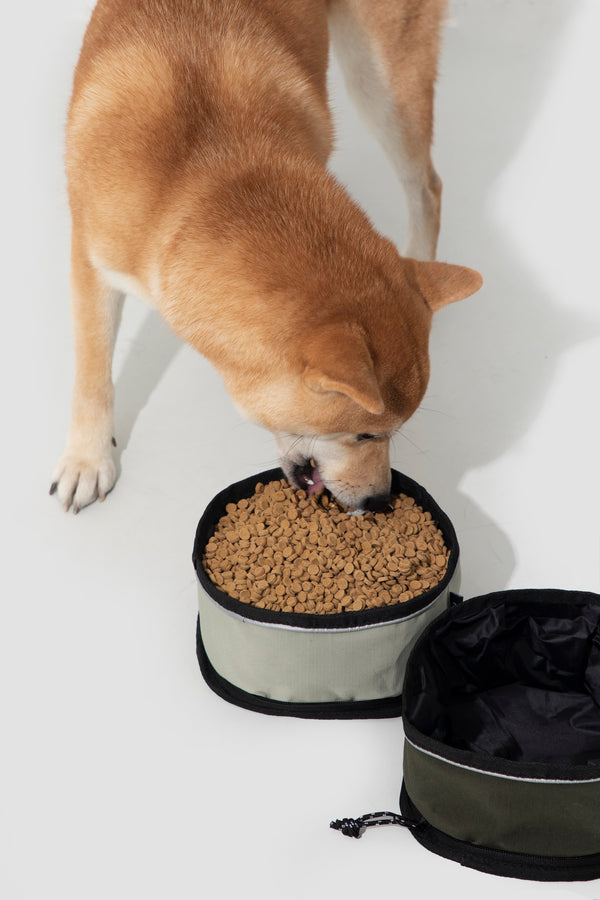 Travel Pet Bowl | Soft Carry, Wipe-Clean