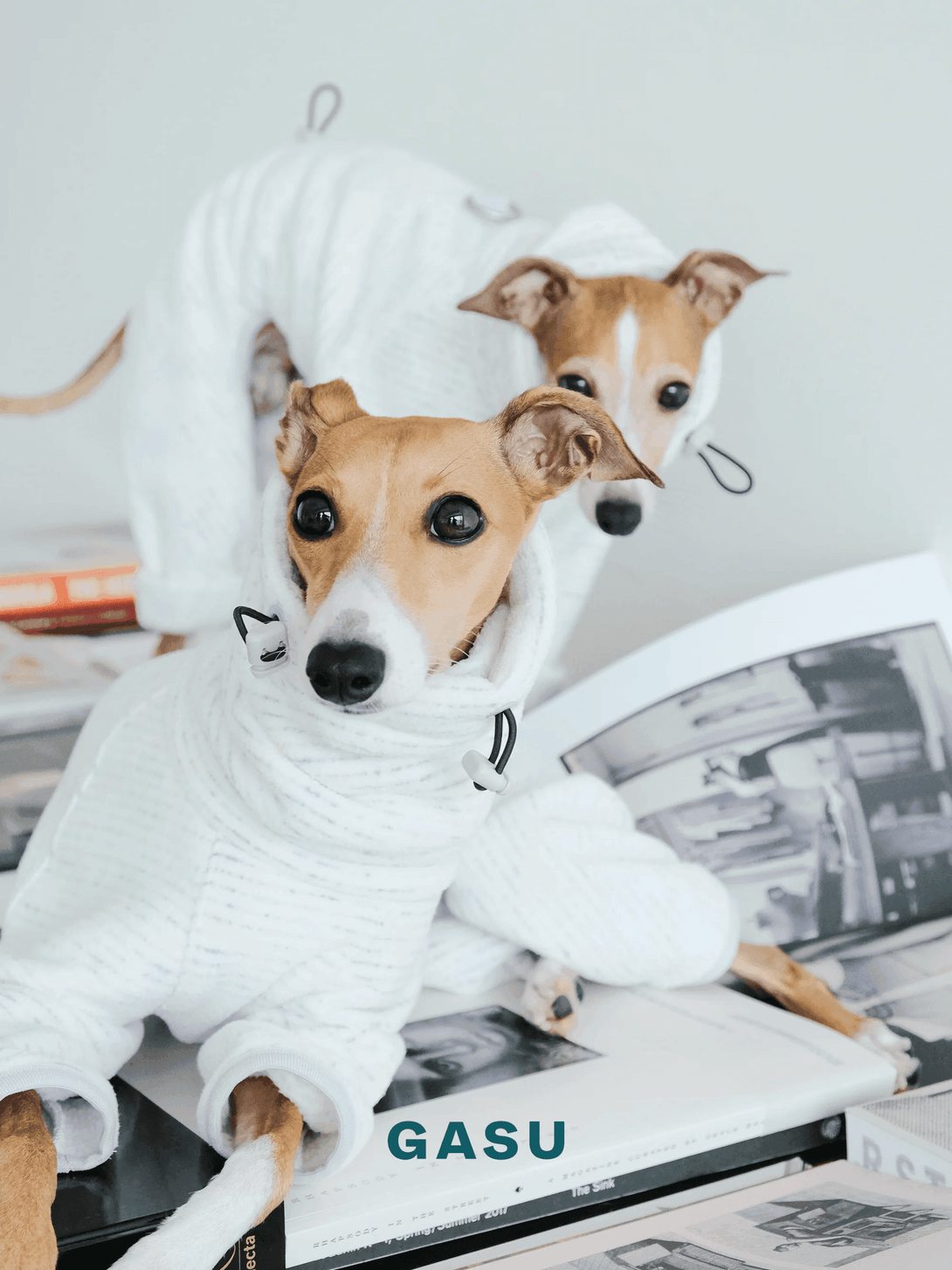 Adjustable 4-Leg Anti-static Fleece Dog Jumpsuit | White - 2&4 PETS