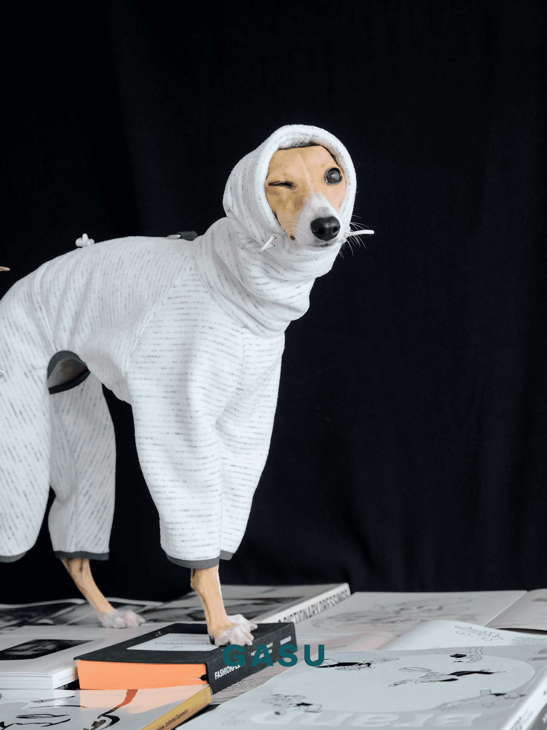 Adjustable 4-Leg Anti-static Fleece Dog Jumpsuit | White - 2&4 PETS