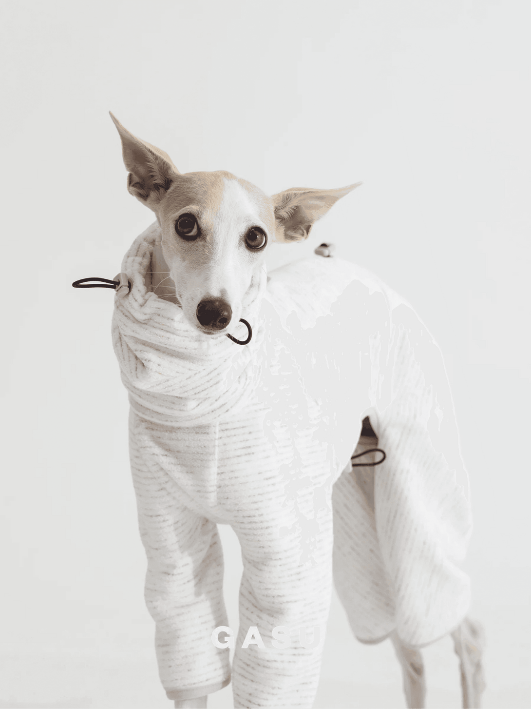 Adjustable 4-Leg Anti-static Fleece Dog Jumpsuit | White - 2&4 PETS