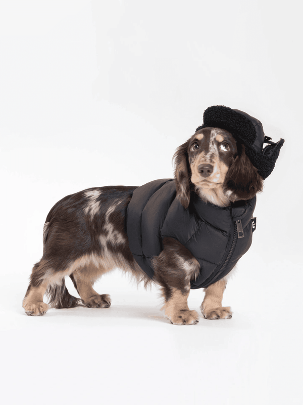 Adjustable Puffer Dog Vest - 2&4 PETS