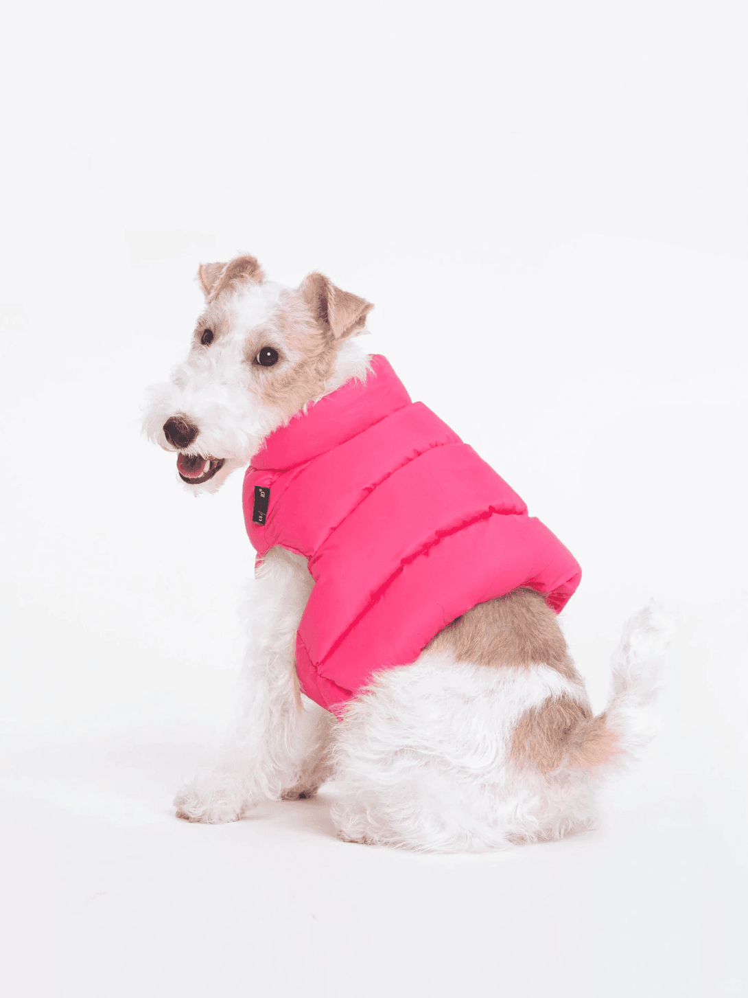 Adjustable Puffer Dog Vest - 2&4 PETS