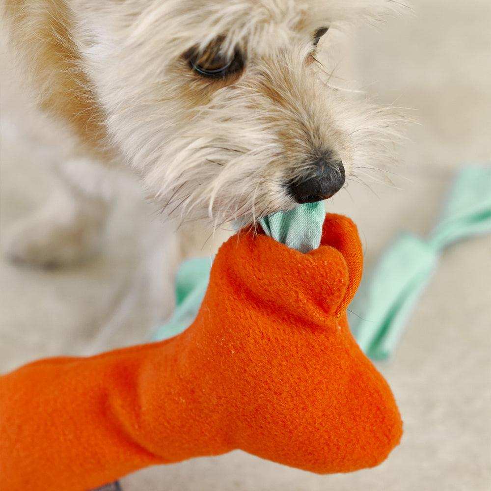 ALL IN ONE TOY: NOSE WORKS - 2&4 PETS