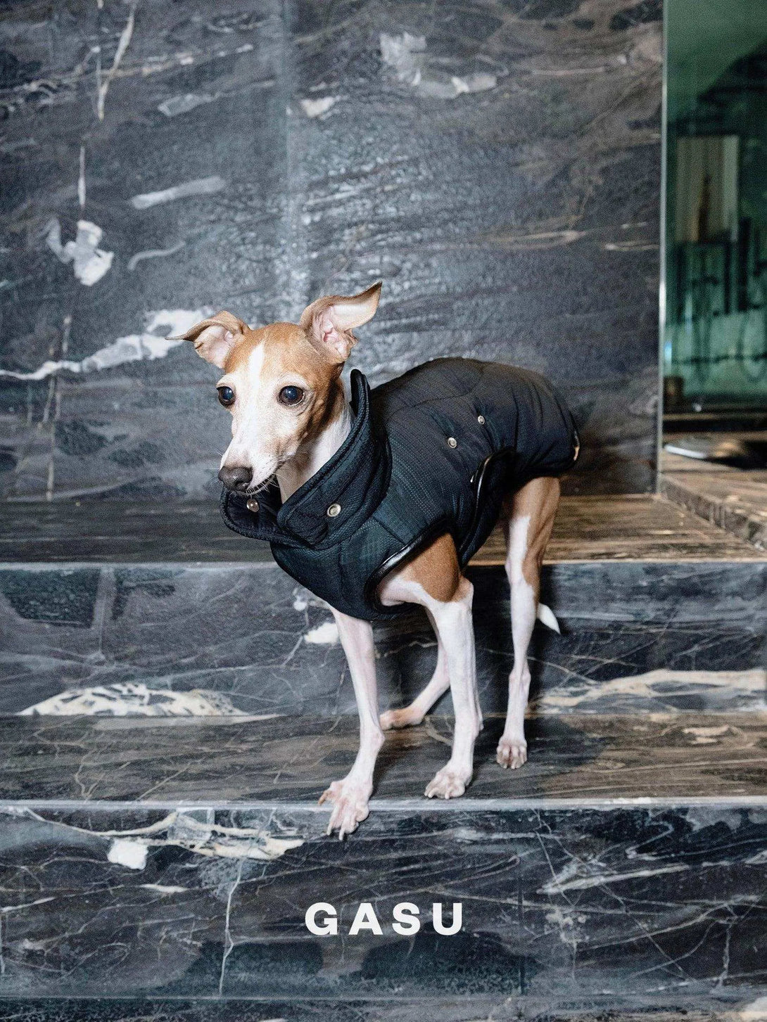 Antistatic Thermal Quilted Dog Vest - 2&4 PETS