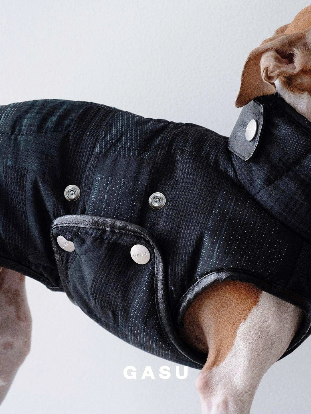 Antistatic Thermal Quilted Dog Vest - 2&4 PETS