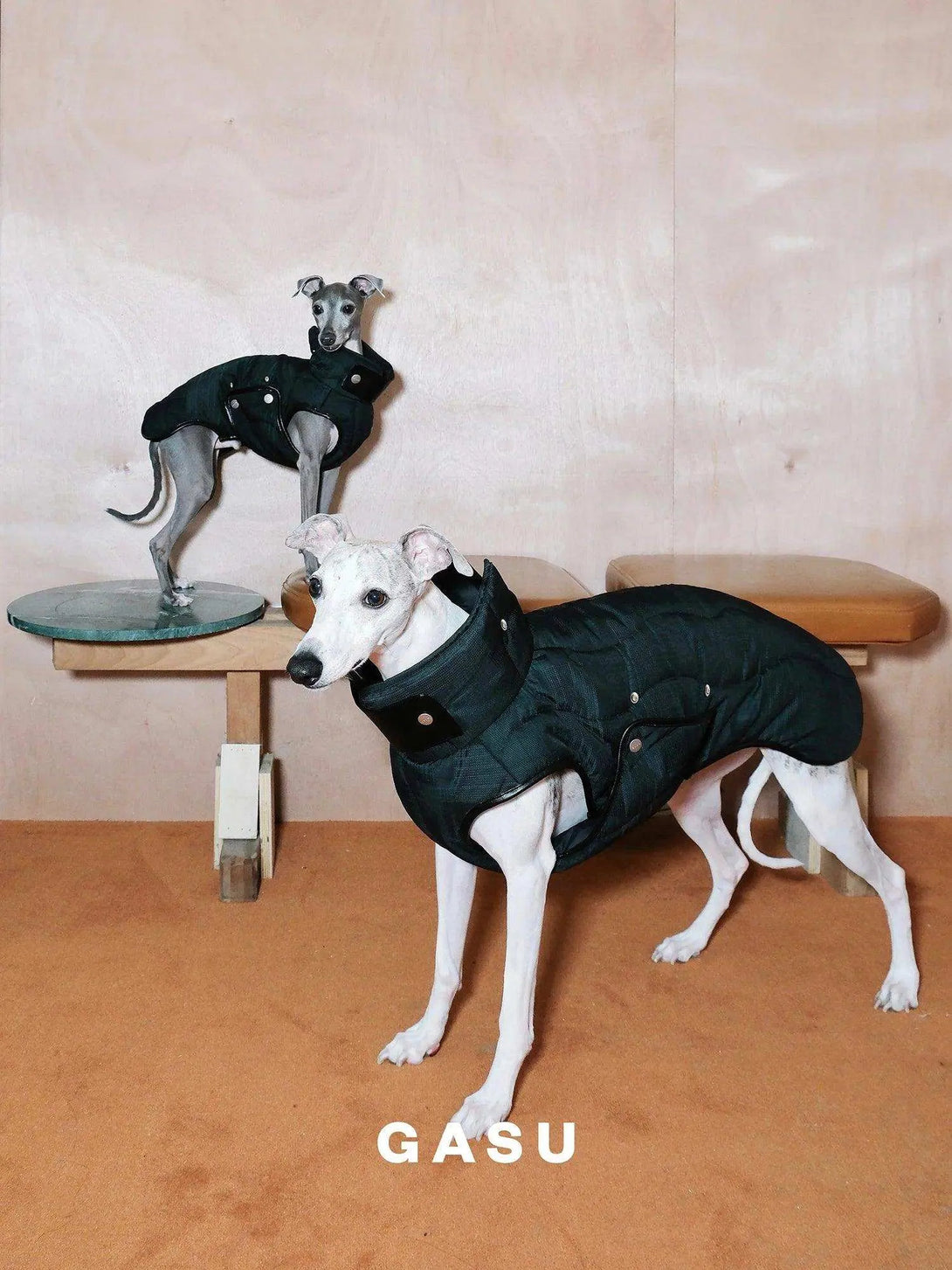 Antistatic Thermal Quilted Dog Vest - 2&4 PETS