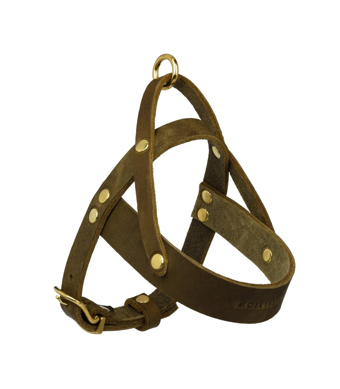 [OLIVE TREE] BUTTER LEATHER DOG HARNESS - 2&4 PETS PETS