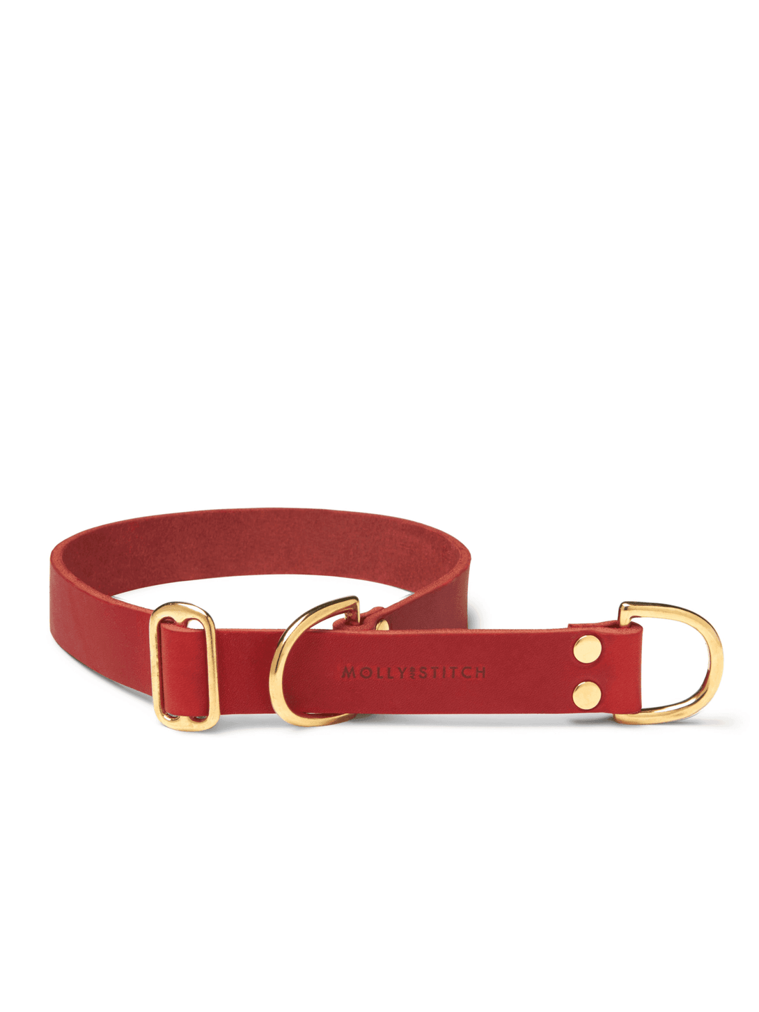 BUTTER LEATHER RETRIEVER DOG COLLAR