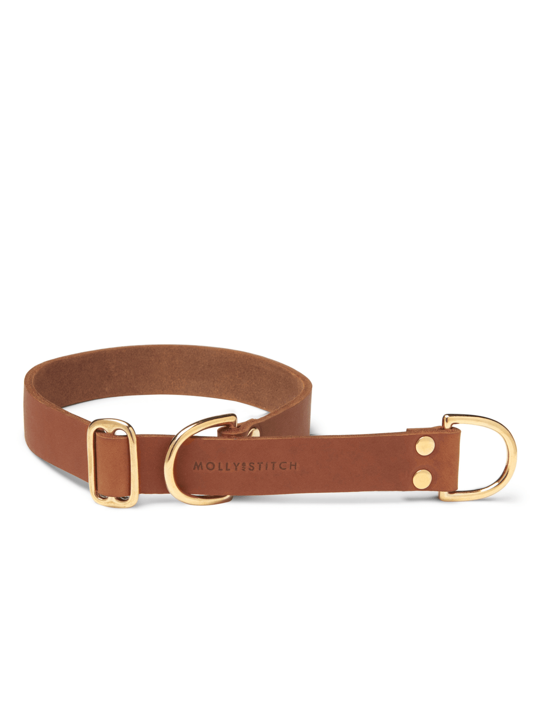 BUTTER LEATHER RETRIEVER DOG COLLAR