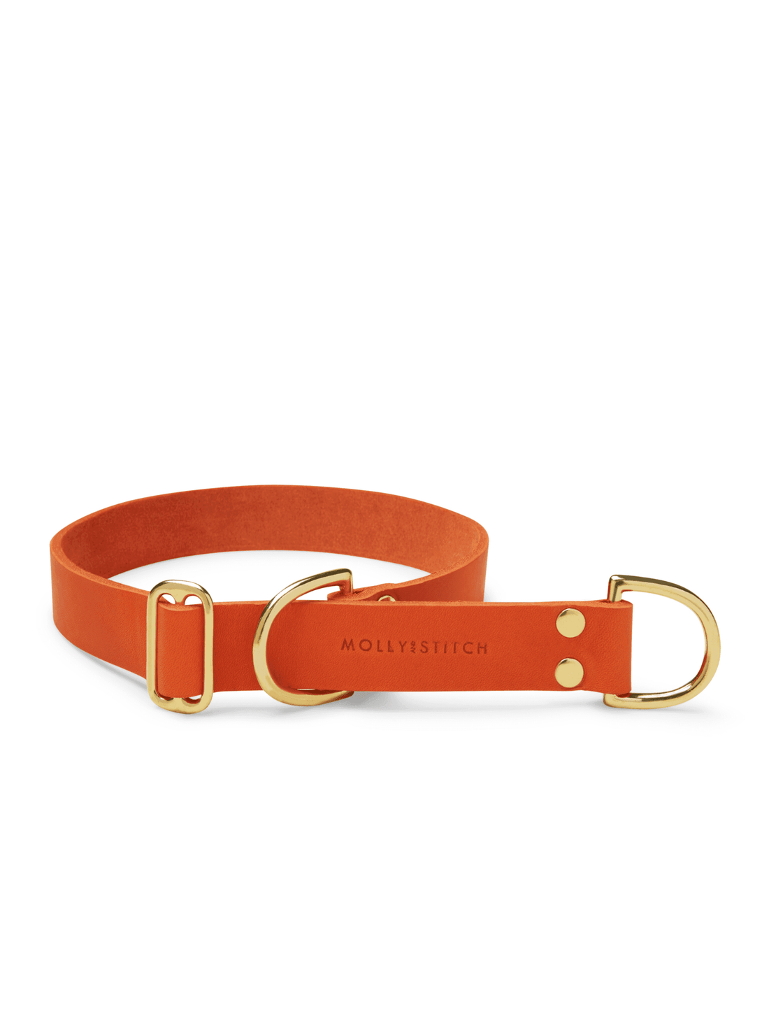 BUTTER LEATHER RETRIEVER DOG COLLAR