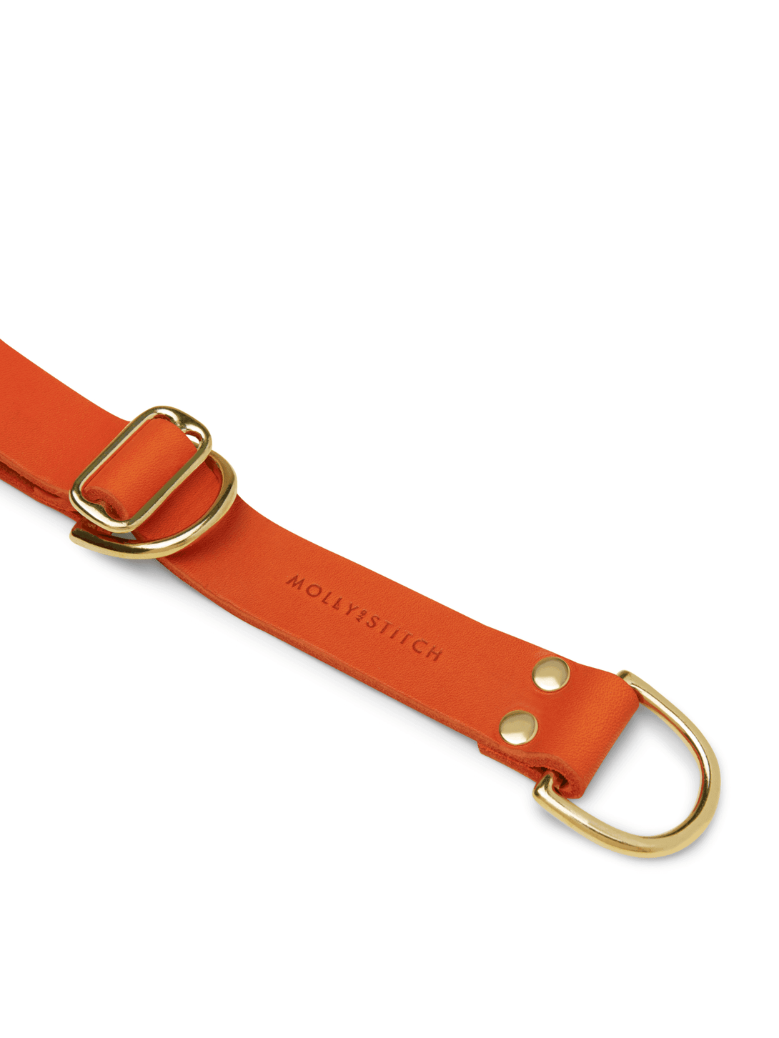 BUTTER LEATHER RETRIEVER DOG COLLAR