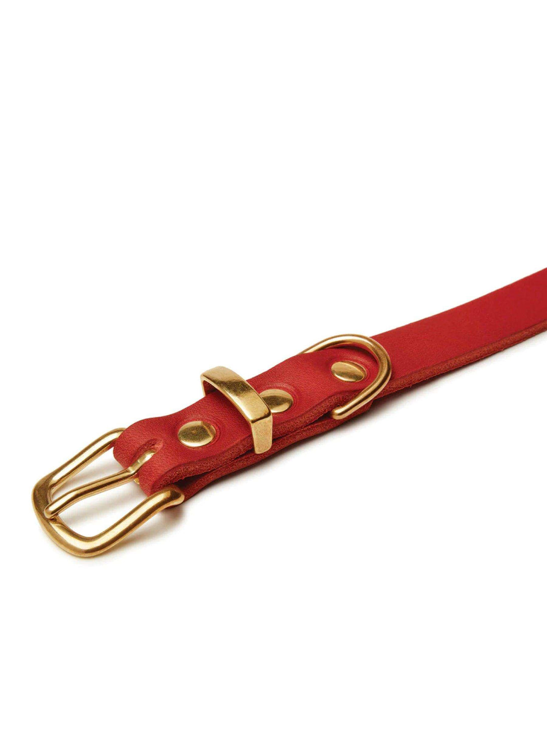 [CHILI RED] BUTTER LEATHER DOG COLLAR - 2&4 PETS