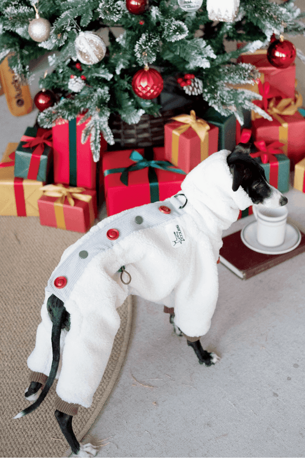 Christmas Limited Edition - Fleece Dog Jumpsuit - 2&4 PETS