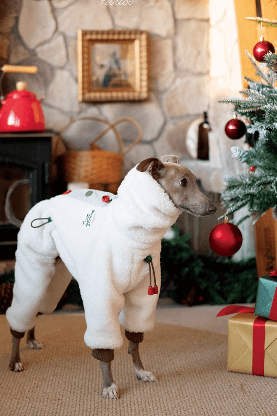 Christmas Limited Edition - Fleece Dog Jumpsuit - 2&4 PETS