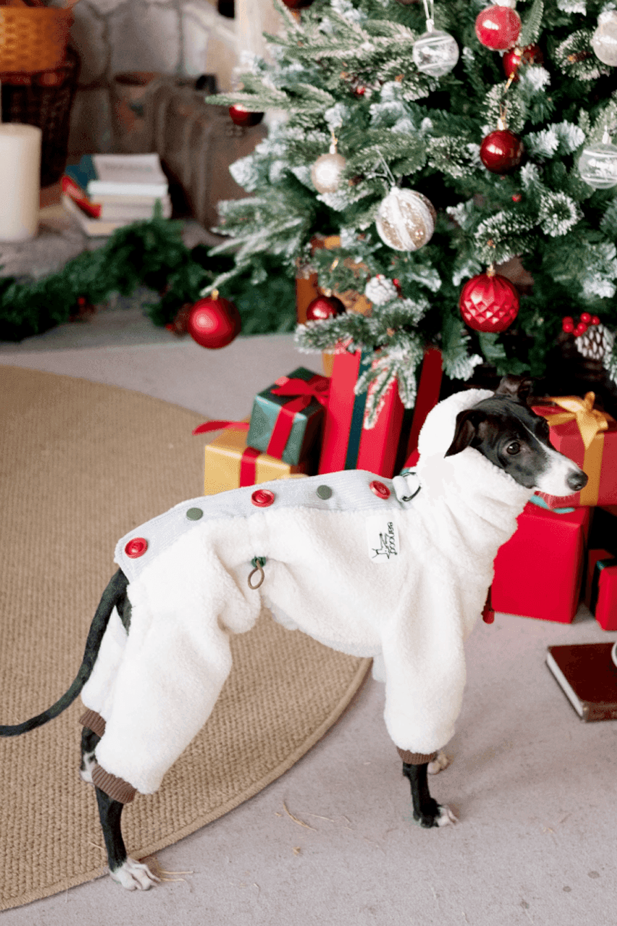 Christmas Limited Edition - Fleece Dog Jumpsuit - 2&4 PETS