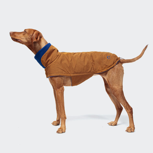 Dog Wax Cotton Jacket | Brooklyn | Curry