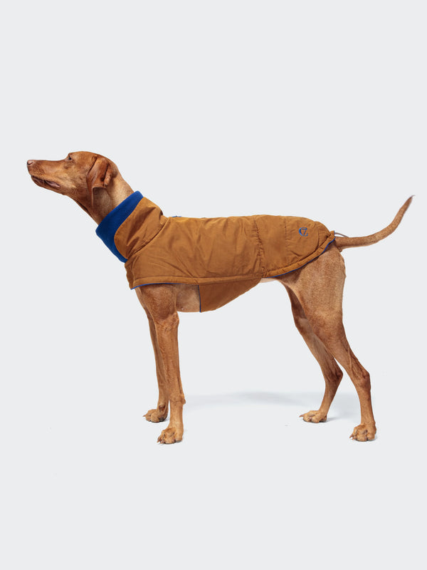 Dog Wax Cotton Jacket | Brooklyn | Curry