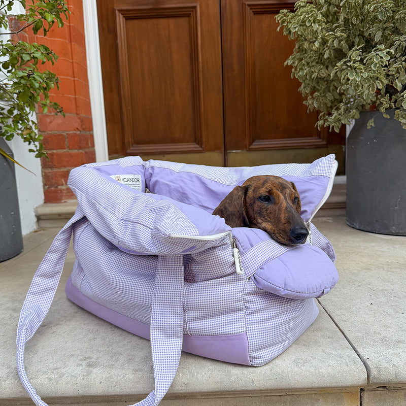 Dachshund in purple gingham pet carrier bag, cozy and stylish for travel or home use.