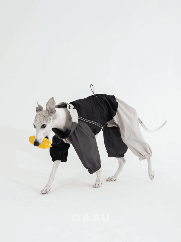  Detachable 4-Leg Raincoat