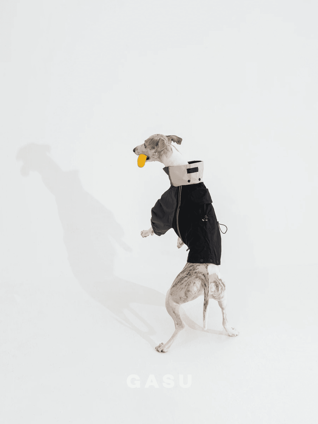  Detachable 4-Leg Raincoat