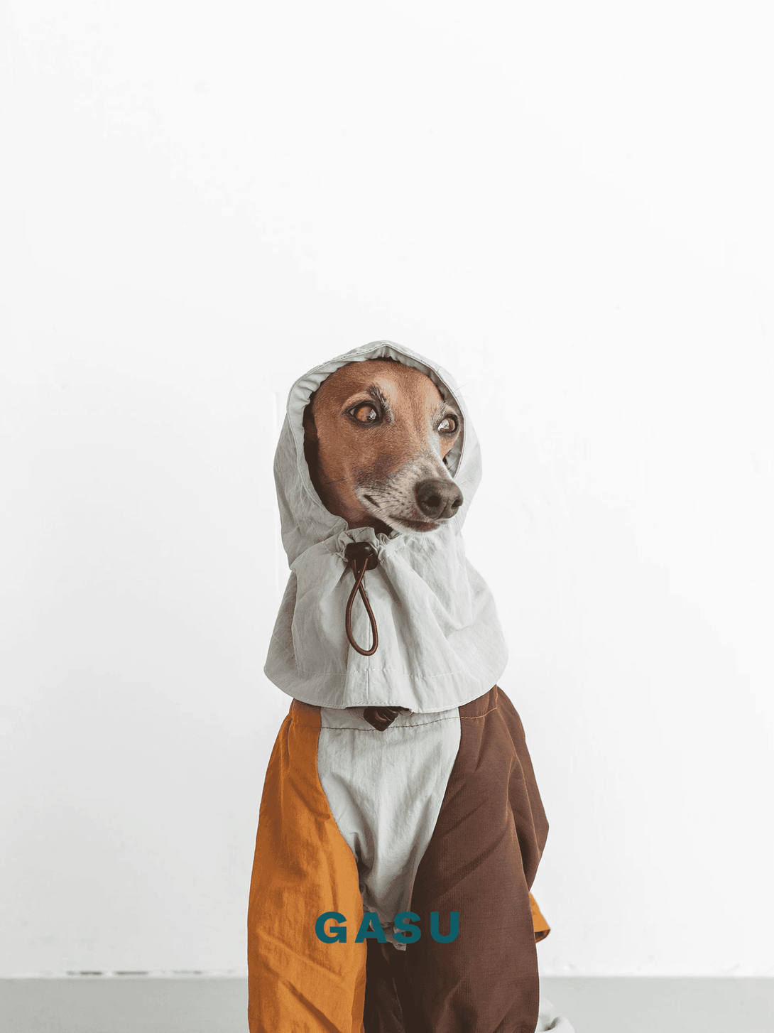 Detachable 4-Leg Raincoat