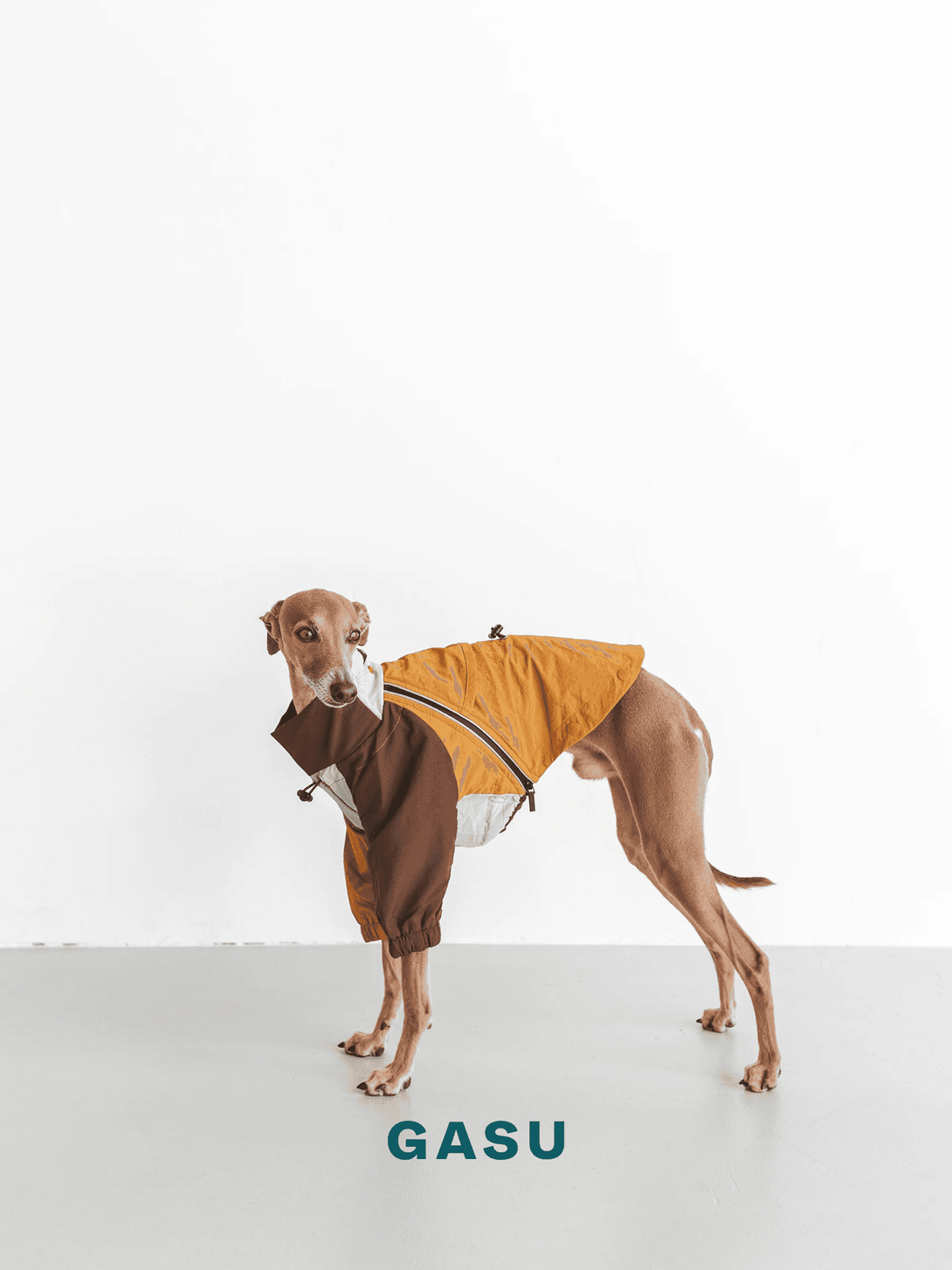 Detachable 4-Leg Raincoat