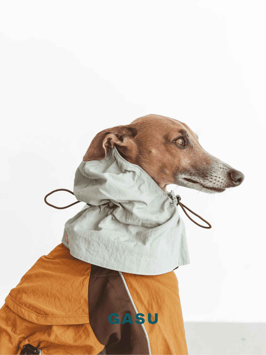 Detachable 4-Leg Raincoat