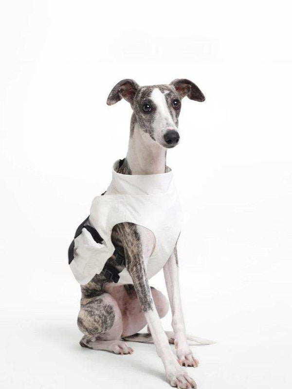 [Black/White] Dog Outdoor Vest - 2&4 PETS PETS
