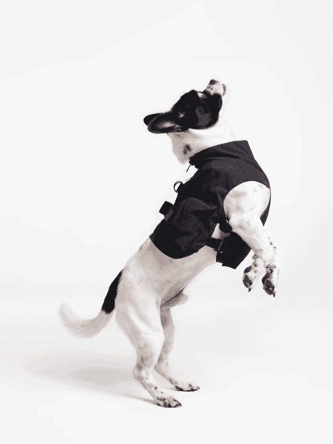 [Black/White] Dog Outdoor Vest - 2&4 PETS PETS