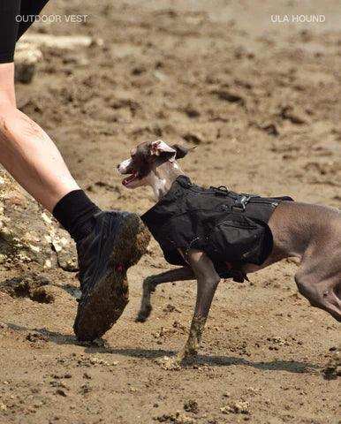 Dog Outdoor Vest