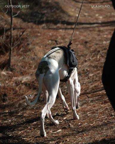 Dog Outdoor Vest