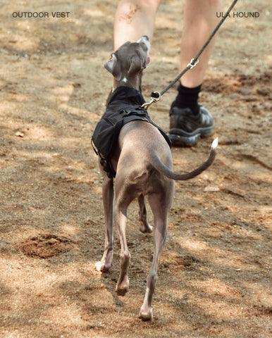 Dog Outdoor Vest