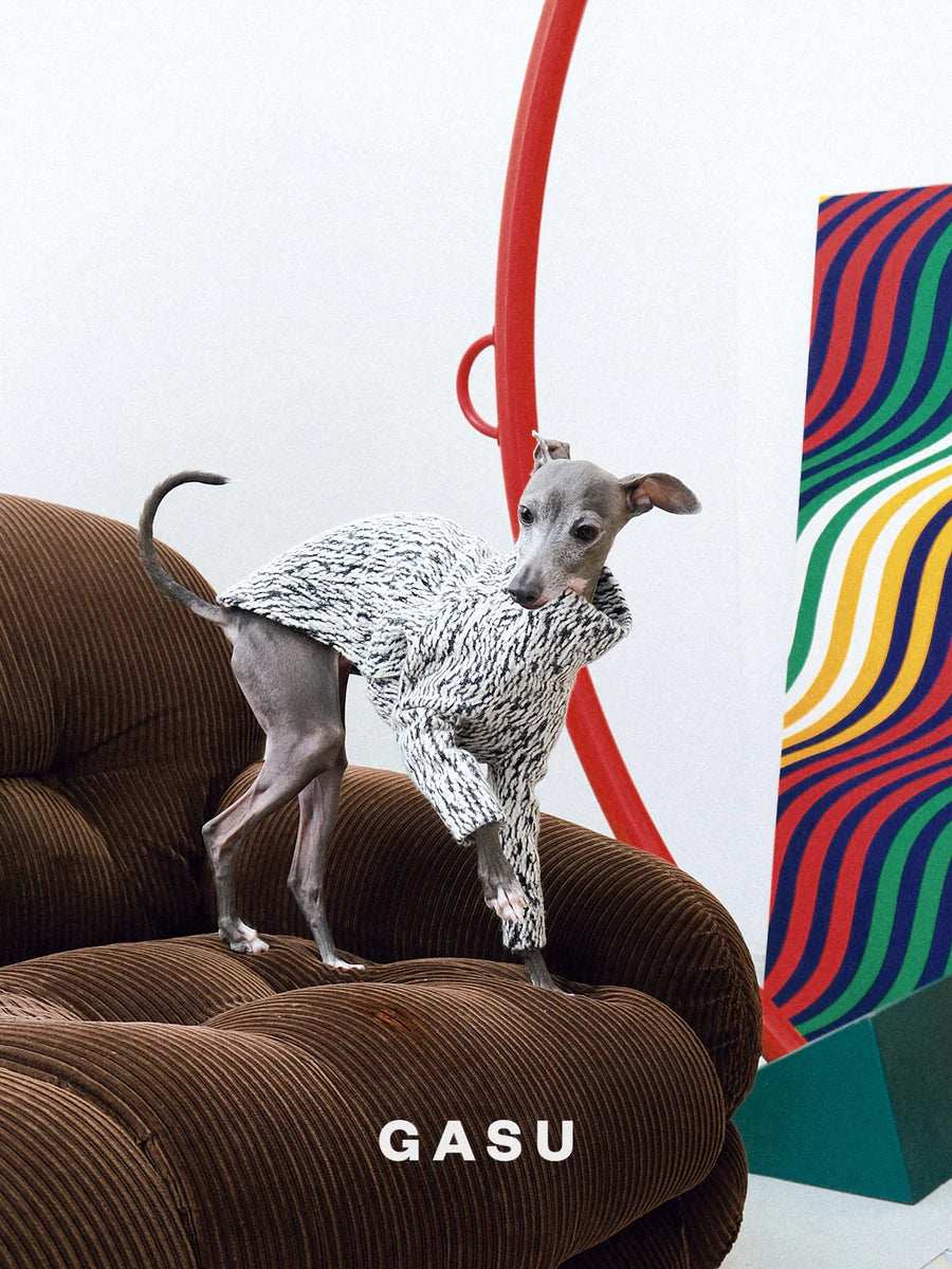 Limited Edition - Dog Wool Pullover